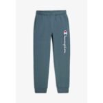CHAMPION PANTALON HOMME - VERT – Image 4