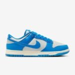 NIKE DUNK LOW RETRO