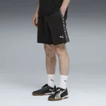ESS PUMA TAPE – Image 3