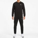ENSEMBLE Puma Ess Small Logo Crew Hoodie